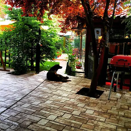 Hotel Safir Konak Safranbolu 3*